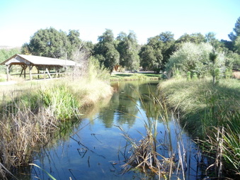 Enlarge photo 32