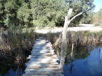 Enlarge photo 34