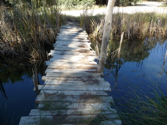 Enlarge photo 36