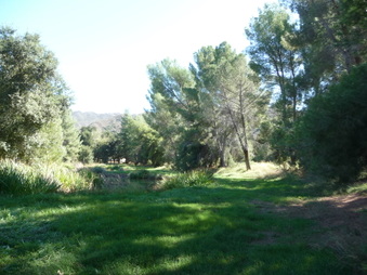 Enlarge photo 37