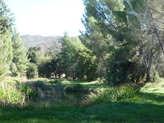 Enlarge photo 38