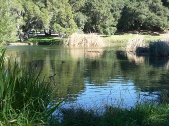 Enlarge photo 39