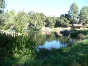 Enlarge photo 40