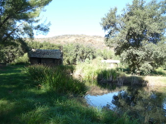 Enlarge photo 41