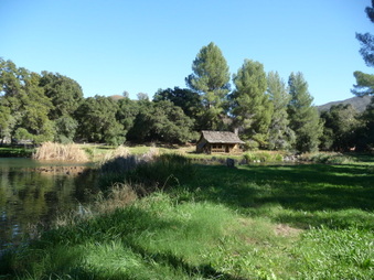 Enlarge photo 43