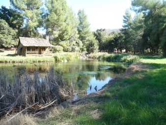 Enlarge photo 44