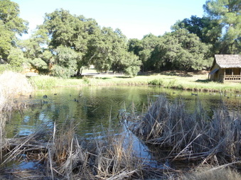 Enlarge photo 45