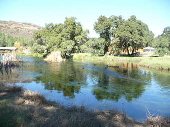 Enlarge photo 46