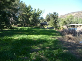 Enlarge photo 47