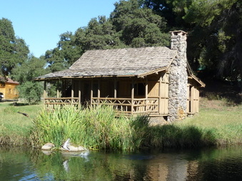 Enlarge photo 49