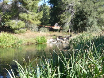 Enlarge photo 50