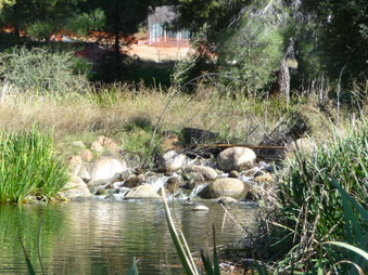 Enlarge photo 51