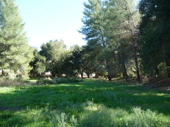Enlarge photo 52
