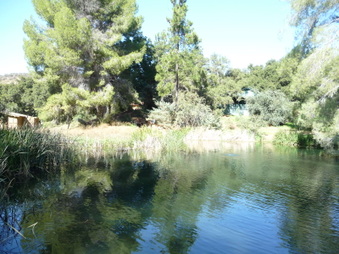 Enlarge photo 55