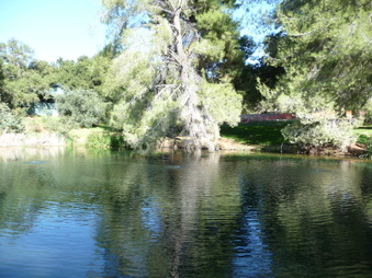 Enlarge photo 56