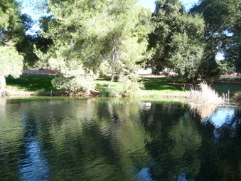 Enlarge photo 57