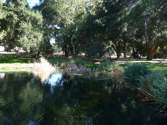 Enlarge photo 58
