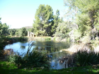 Enlarge photo 59