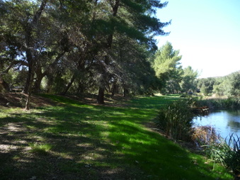 Enlarge photo 60