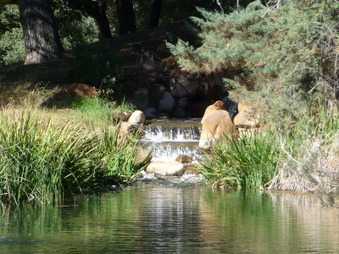 Enlarge photo 61