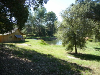 Enlarge photo 62