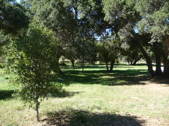 Enlarge photo 63