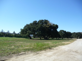 Enlarge photo 66