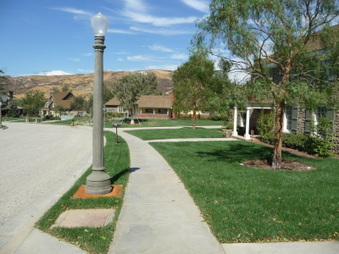 Enlarge photo 38