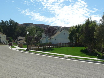 Enlarge photo 54
