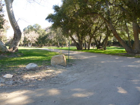 Enlarge photo 122