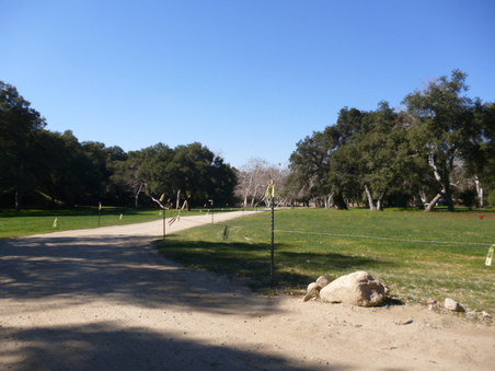 Enlarge photo 123