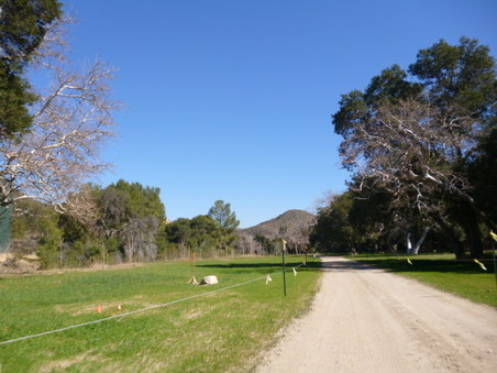 Enlarge photo 124