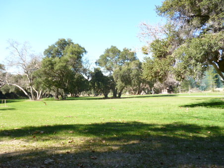 Enlarge photo 125