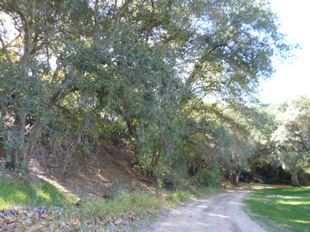 Enlarge photo 126
