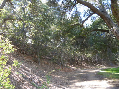 Enlarge photo 127