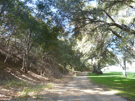 Enlarge photo 128
