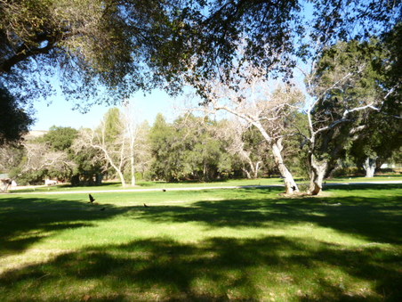 Enlarge photo 129