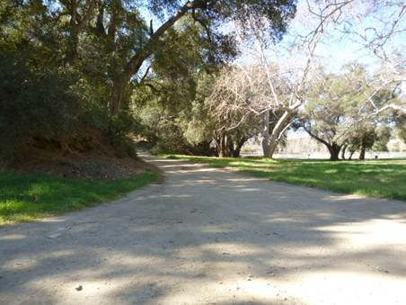 Enlarge photo 130