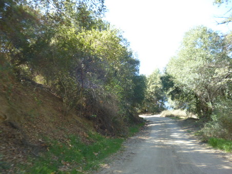 Enlarge photo 131