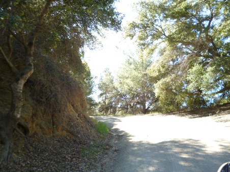 Enlarge photo 132