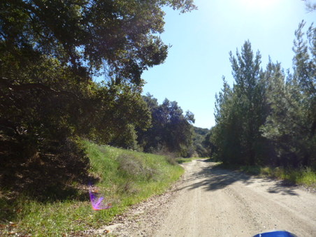 Enlarge photo 133
