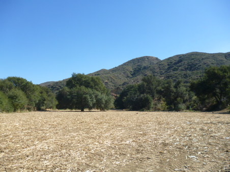 Enlarge photo 134
