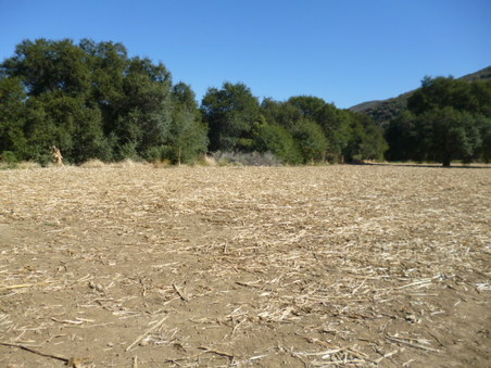 Enlarge photo 135