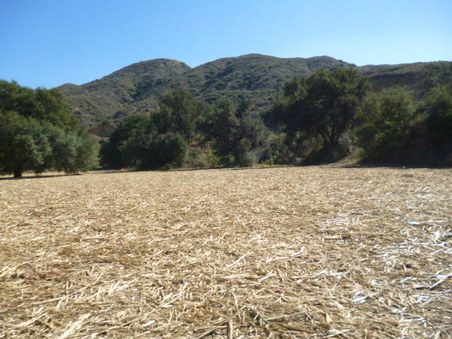 Enlarge photo 136