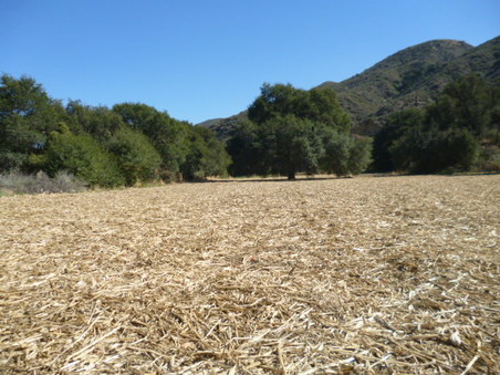 Enlarge photo 137