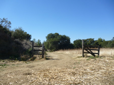 Enlarge photo 138