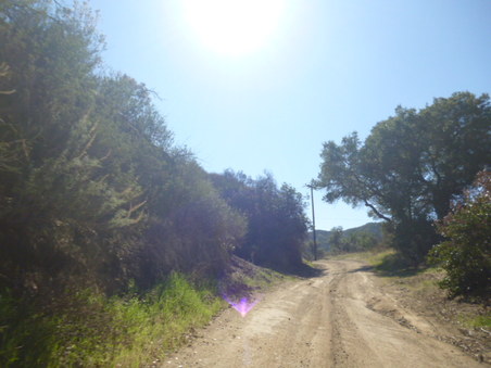 Enlarge photo 139
