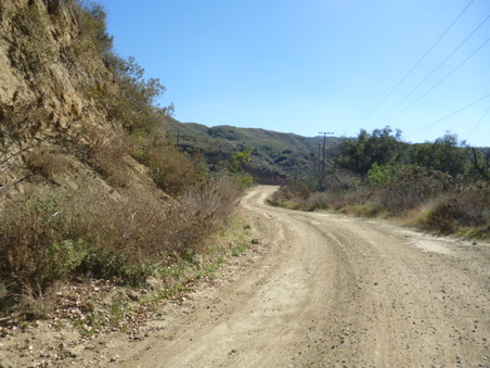 Enlarge photo 141