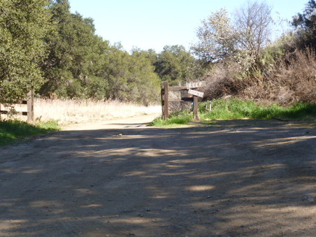 Enlarge photo 143