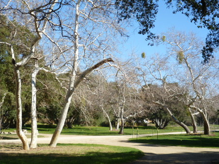 Enlarge photo 144